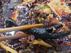-黑竹香鸡(营和巷店)