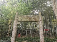-杭州黄龙洞