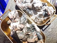 -Darling Queen·Mini·Live·House