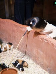 -Zoolung Zoolung动物主题公园(海信广场店)