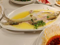 黄椒翘白鱼-羲和雅苑•北京烤鸭(国贸商城店)