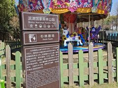 -合肥滨湖国家森林公园