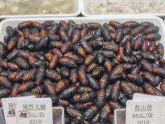 -映像威海·海鲜味道(经区店)