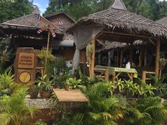 -Jungle Kitchen