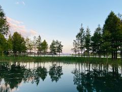 -贡湖湾湿地公园