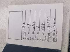 -申普宠物医院·心脏介入·心血管微创(总院)
