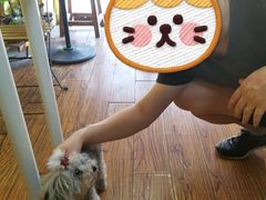 -志龙皇冠吃货椰子铺