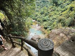 -鼎湖山风景区