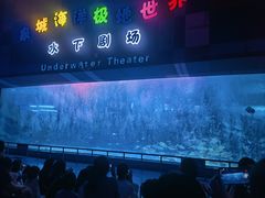 -泉城欧乐堡海洋极地世界