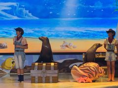 -三亚海昌梦幻海洋不夜城