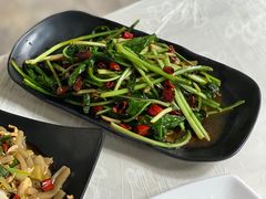 炝炒板蓝根-花楸树下(观水路店)