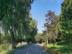 -青龙湖公园