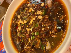 凉拌鸡-铁公鸡·四川料理(天环广场店)
