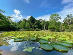 -中国科学院西双版纳热带植物园