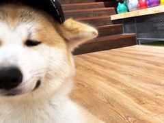 -YCHL Studios健身工作室(市二宫店)