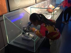 -贝林大翅鲸简餐厅(国家海洋博物馆店)