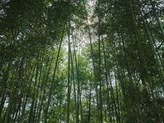 -将军关探险漂流