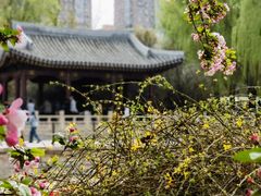 -海棠花溪(元大都城垣遗址公园)