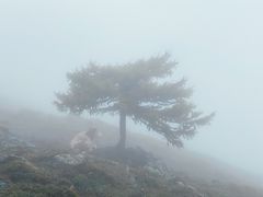 -灵山