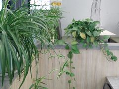 -黄河科技学院大学-餐厅(紫荆山南路店)