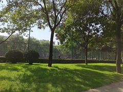 -唐城墙遗址公园