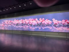 -罗红摄影艺术馆