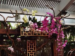 -广州兰圃
