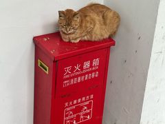 -西园戒幢律寺