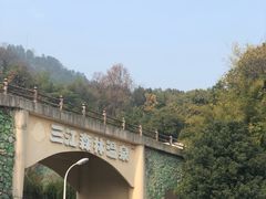 -三江森林温泉度假区