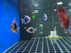 -青木造型HAIR·あおき髪を刈る潮人店