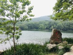 -紫霞湖公园