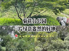 -菊花台公园