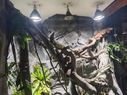 -Zoolung Zoolung动物主题公园(海信广场店)