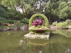 -汇龙潭