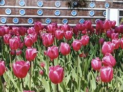 -长春公园(普阳街道)