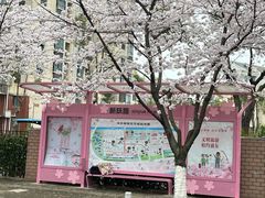 -高东镇樱花园