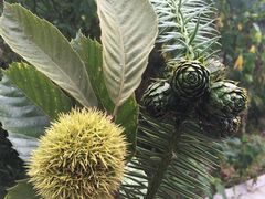 -敬亭山风景名胜区