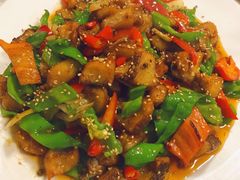 红烧狗鱼-煲来饱去冷水鱼