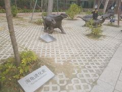 -广东惠东海龟国家级自然保护区