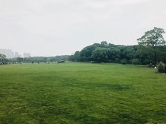 -昆山城市生态森林公园