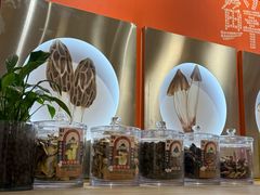 -鲜菌江湖正宗野生菌火锅