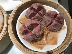 -南枝记