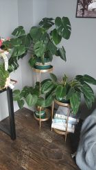 -克拉女神写真馆·匠心定制