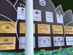 -微山湖红荷湿地景区