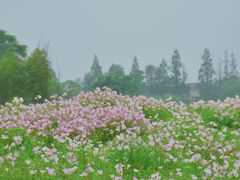 -良渚古城遗址公园