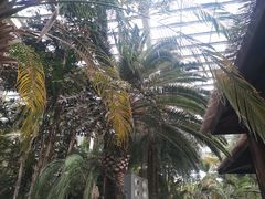 -龙达温泉生态城