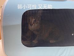 -御宝贝24h宠物医院·转诊中心·CT核磁血透中心(厦门总院)