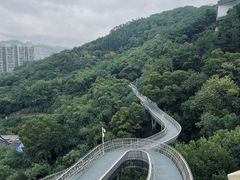 -福道