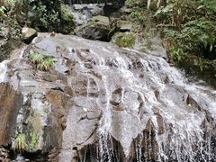 -藏龙百瀑风景区