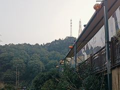 -巴倒烫陆派火锅山庄(南山总店)